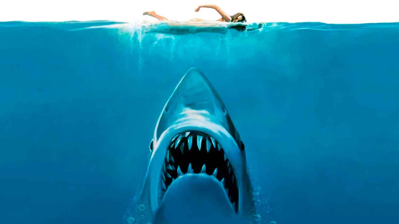 cartel tiburon remake